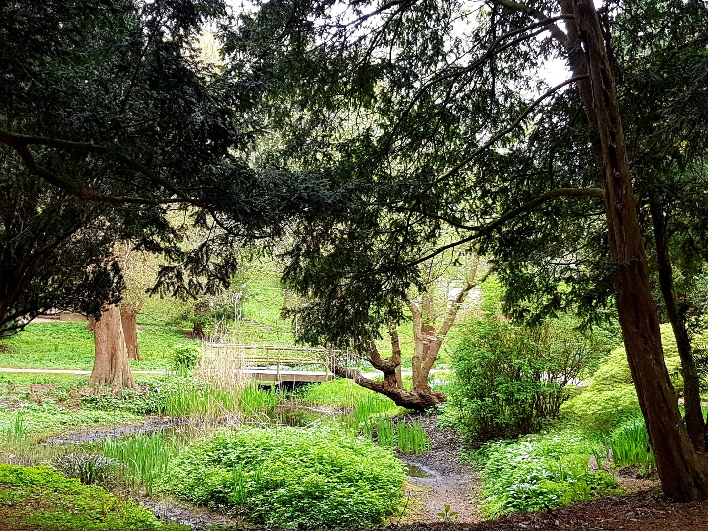 Alter Botanischer Garten Kiel Mein Kreativraum