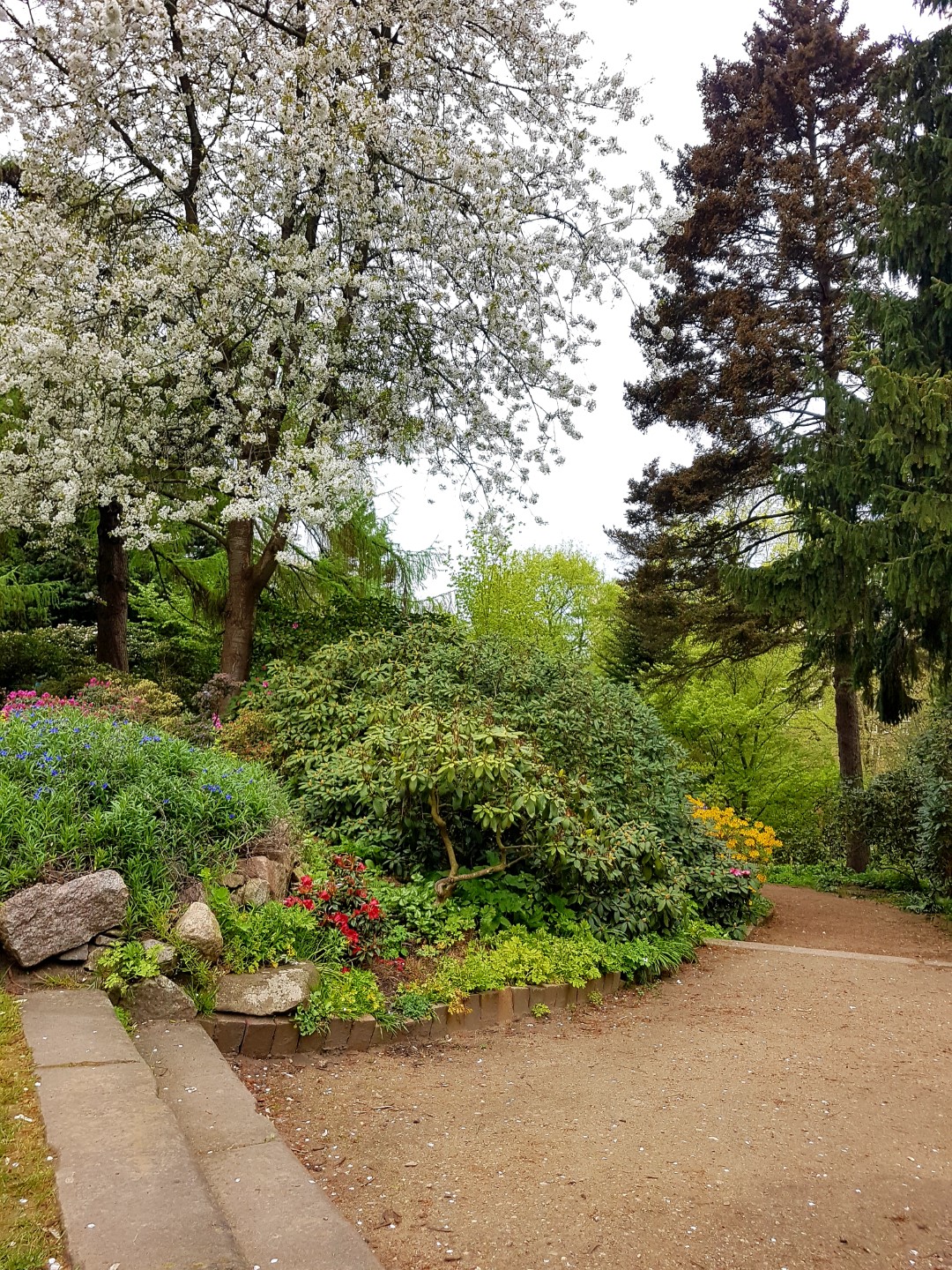 Alter Botanischer Garten Kiel Mein Kreativraum