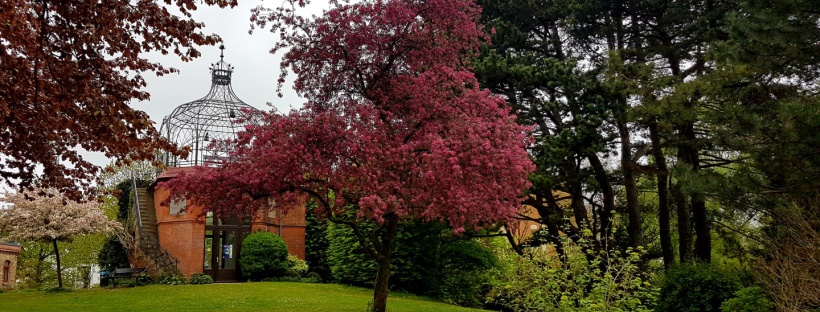 Alter Botanischer Garten Kiel Mein Kreativraum