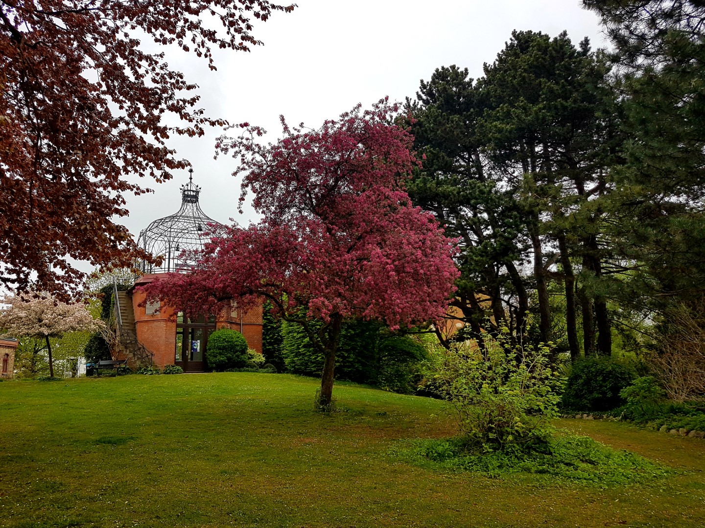 Alter Botanischer Garten Kiel Mein Kreativraum