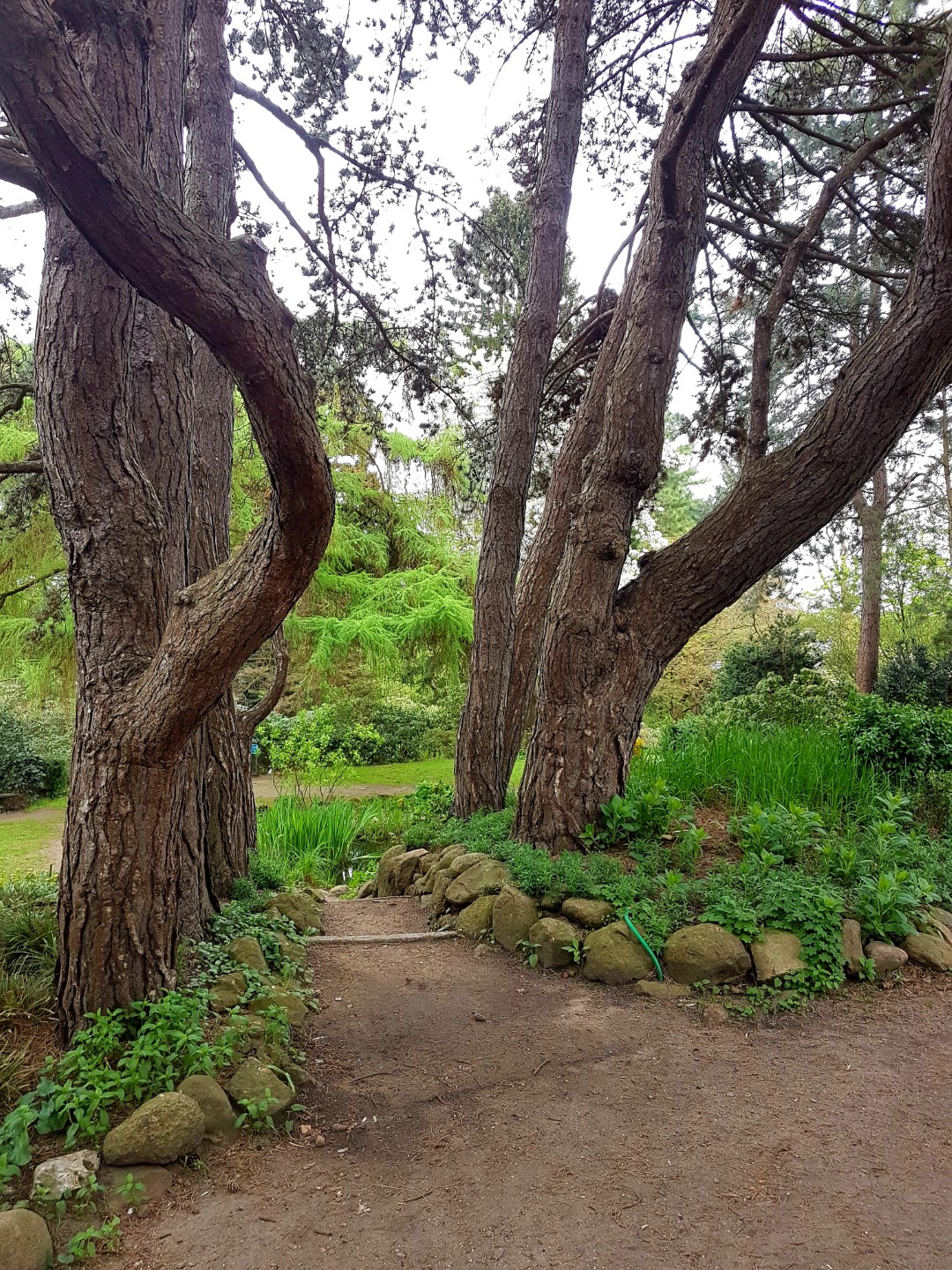 Alter Botanischer Garten Kiel Mein Kreativraum