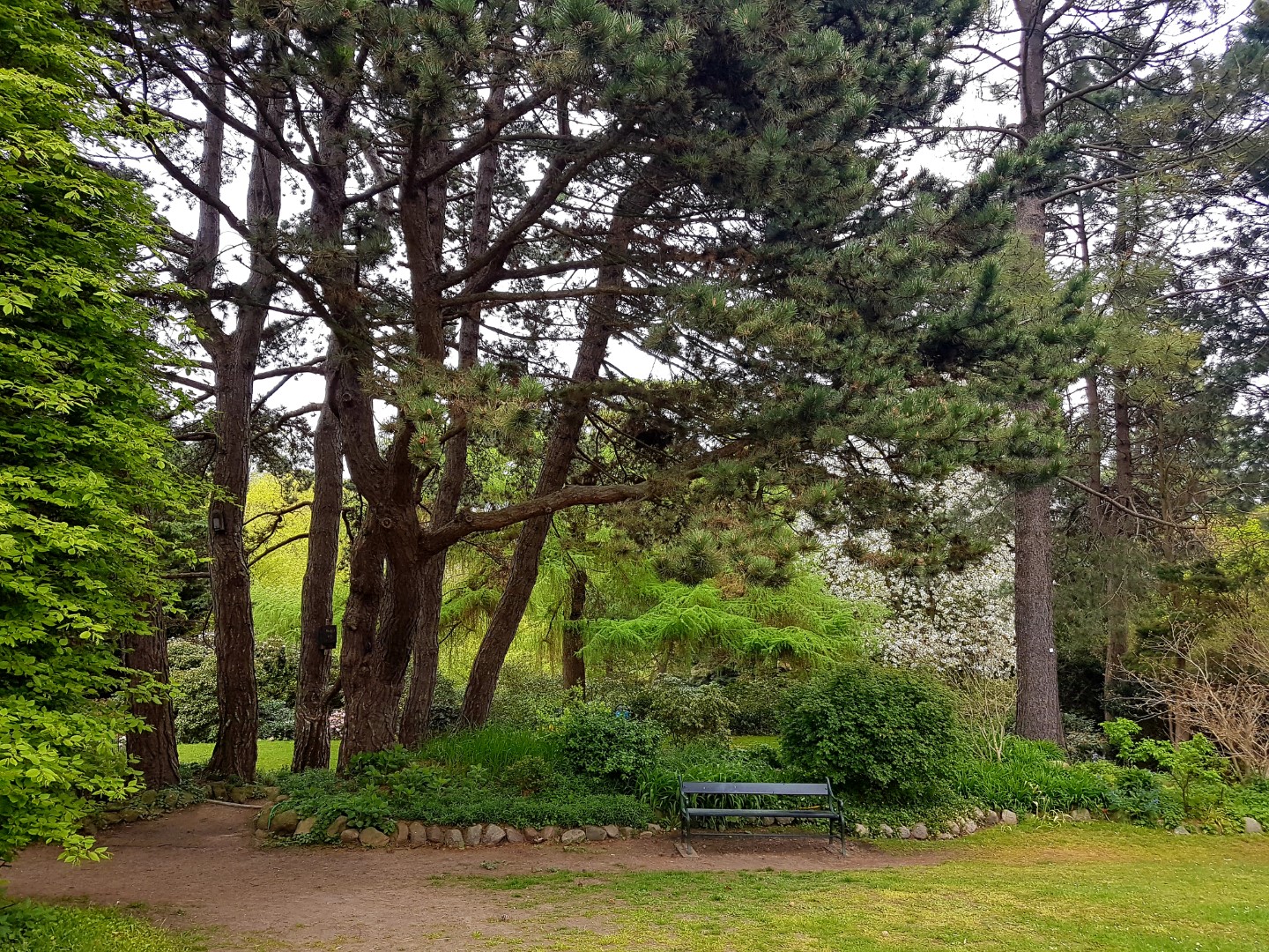 Alter Botanischer Garten Kiel Mein Kreativraum