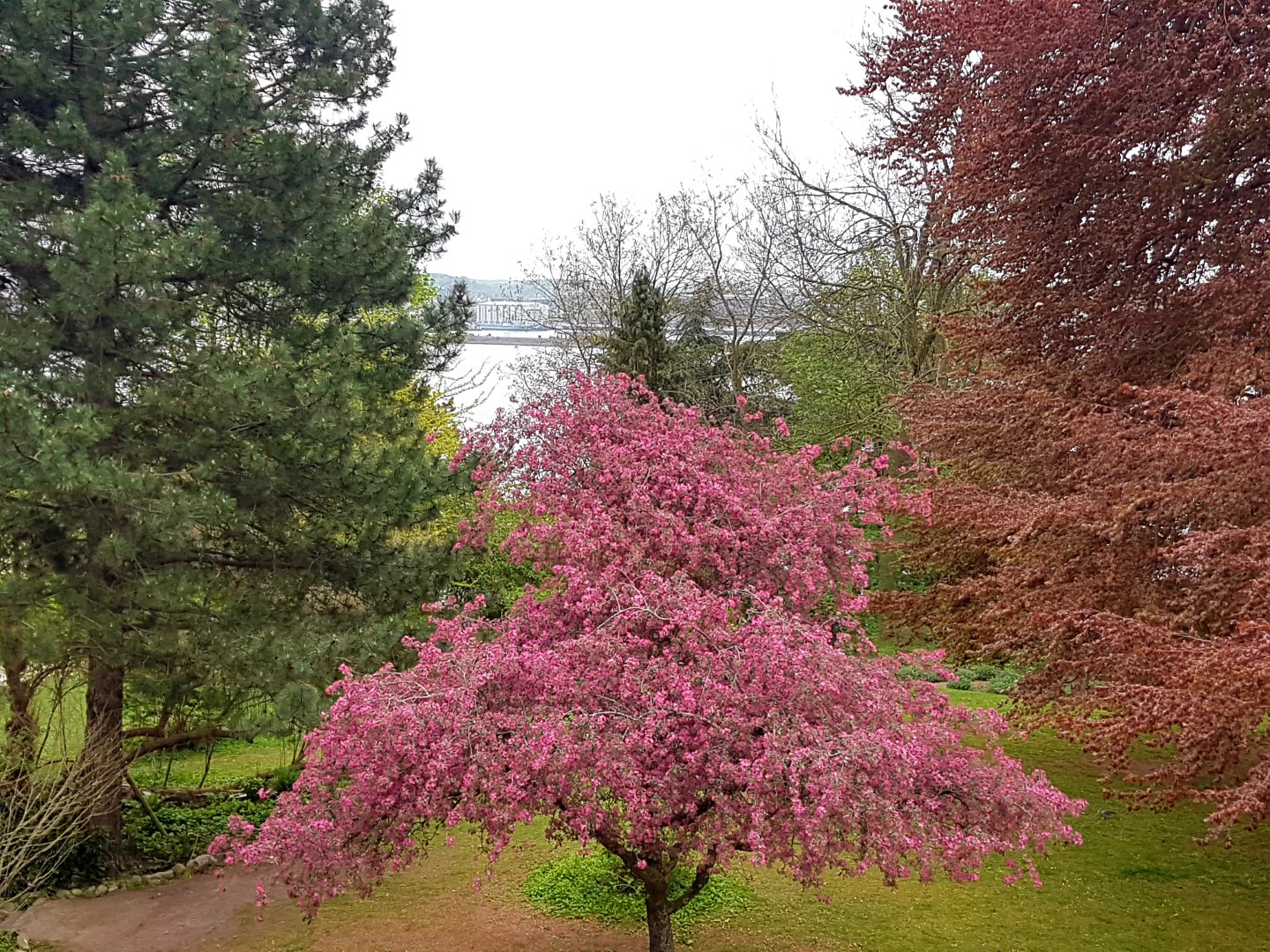 Alter Botanischer Garten Kiel Mein Kreativraum