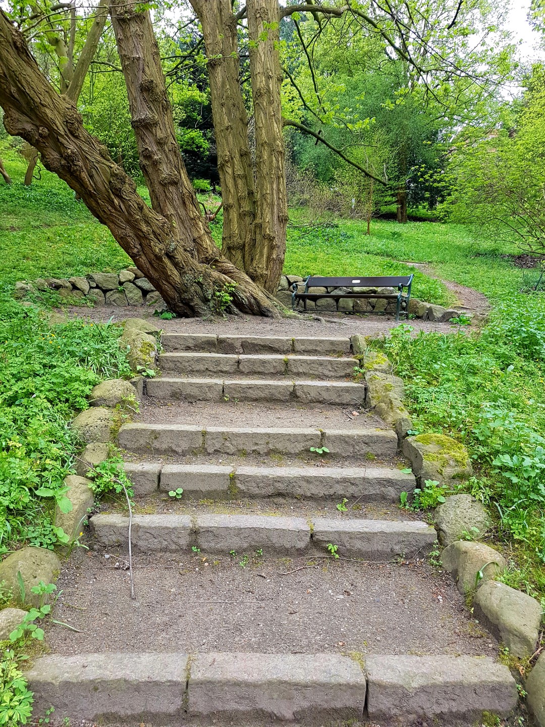 Alter Botanischer Garten Kiel Mein Kreativraum